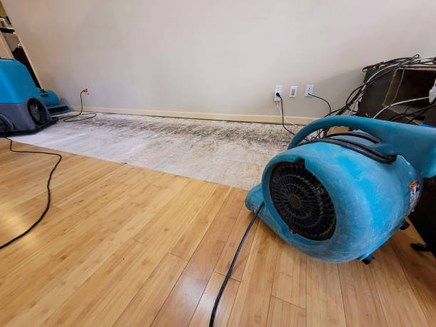 Professional Ceiling Water Damage Repair technician working in Landis, NC